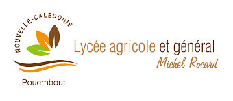 Lycée Michel Rocard