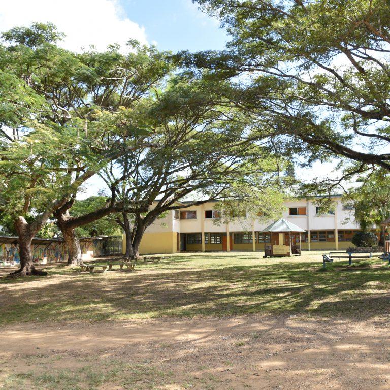 lycee champagnat